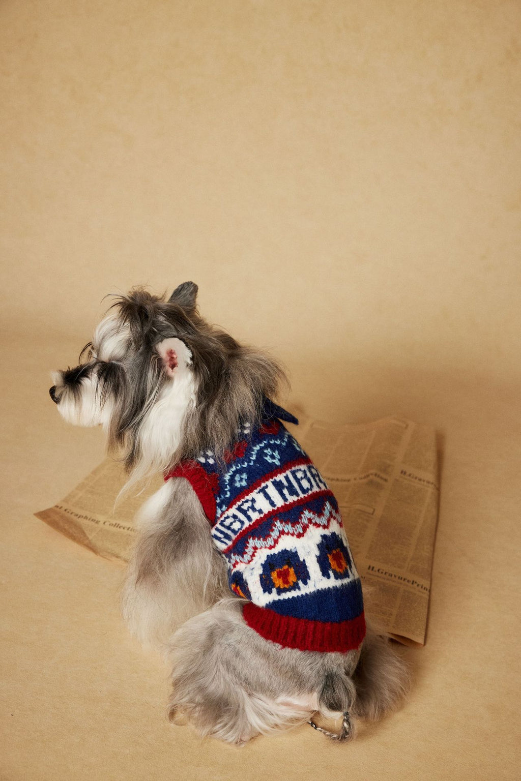 Fair Isle Knit Dog Sweater Vest