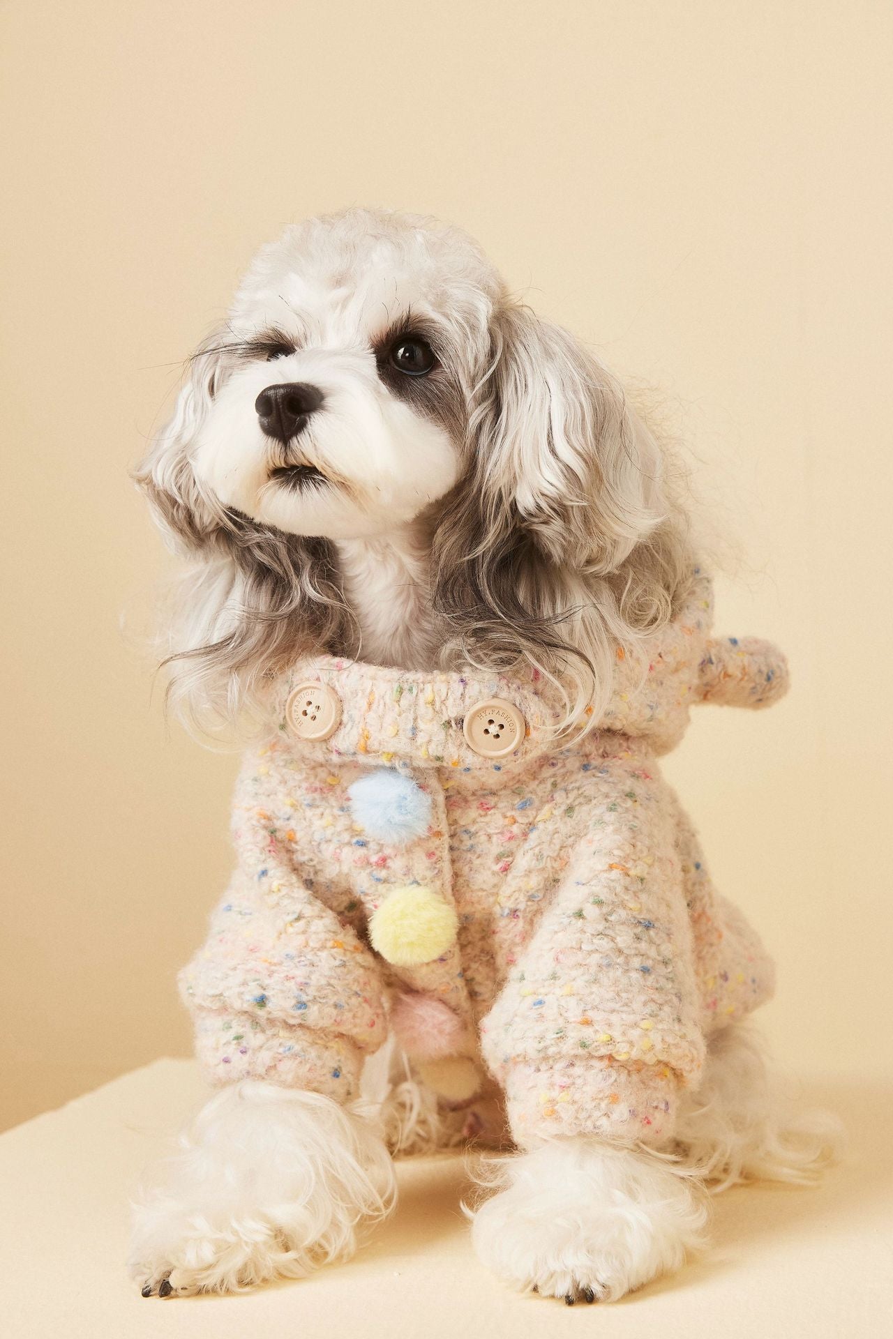 Teddy Ear Wool Hoodie