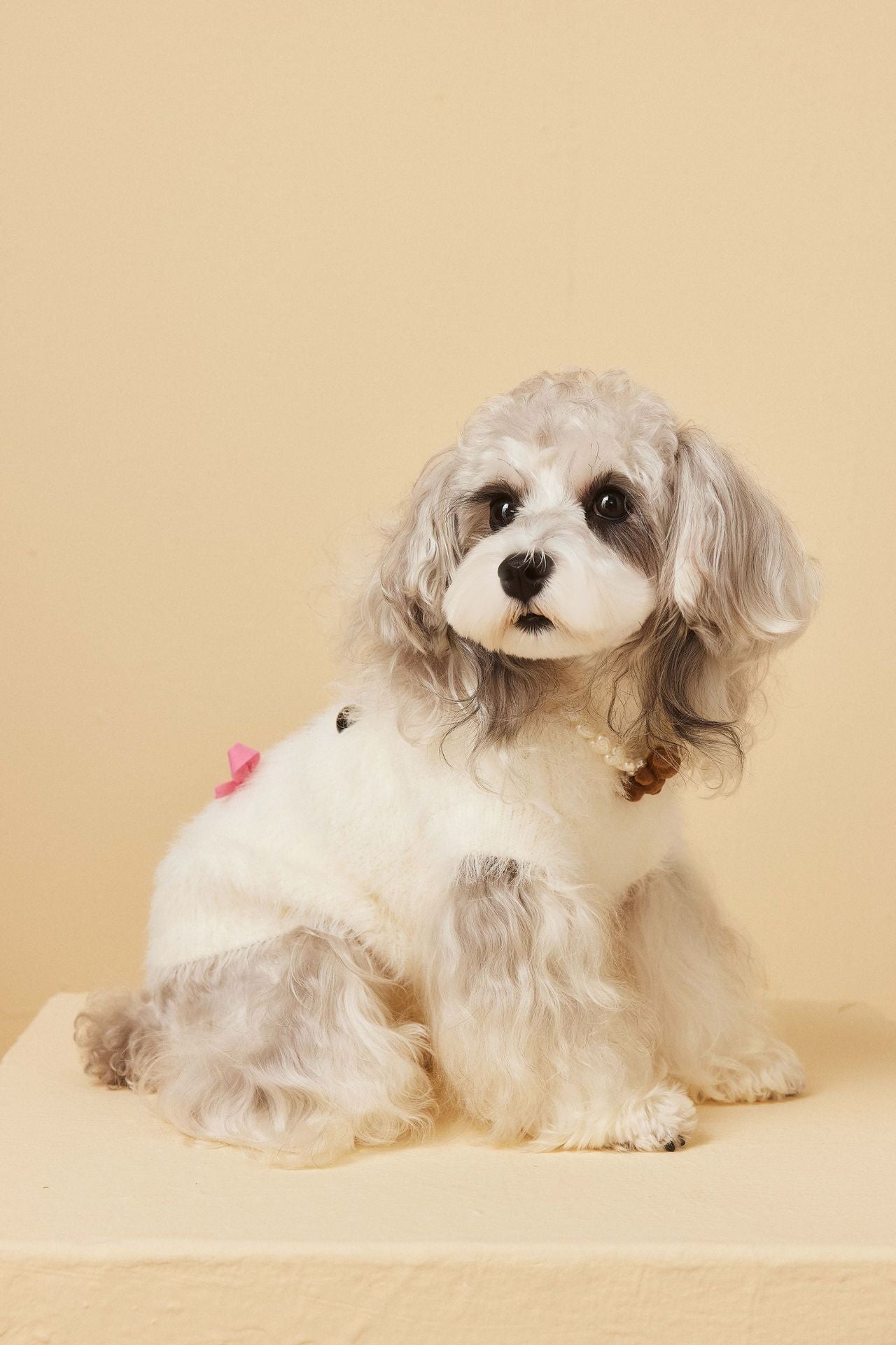 Fluffy Knit Dog Vest with Teddy Face
