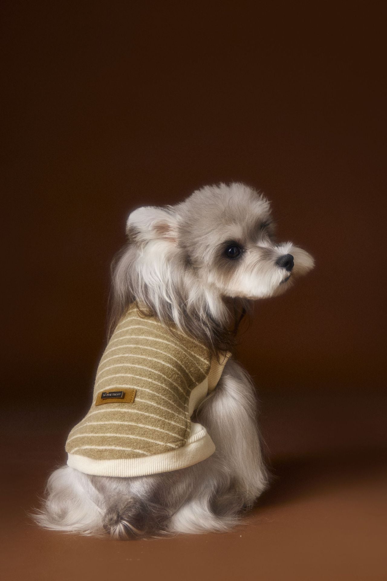 Striped Turtleneck Knit Vest