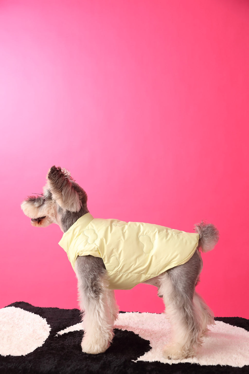 Warm Puffer Vest with Cloud Pattern