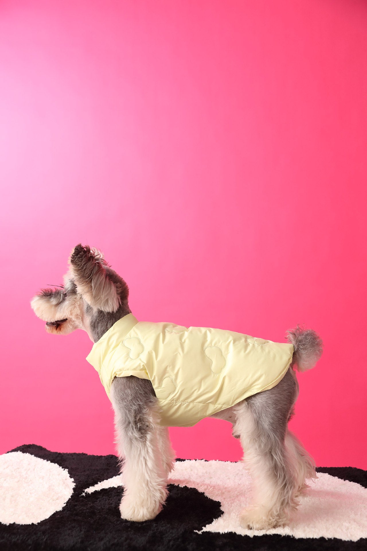 Warm Puffer Vest with Cloud Pattern