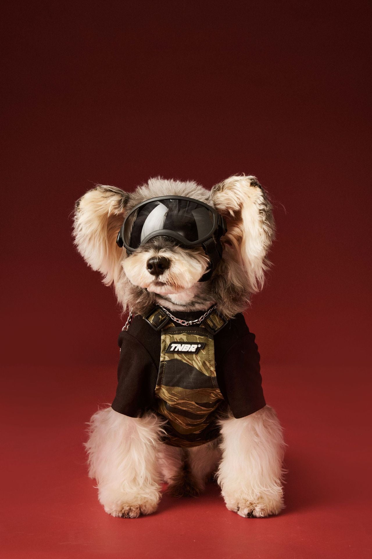 Camouflage Tactical Style Dog Vest