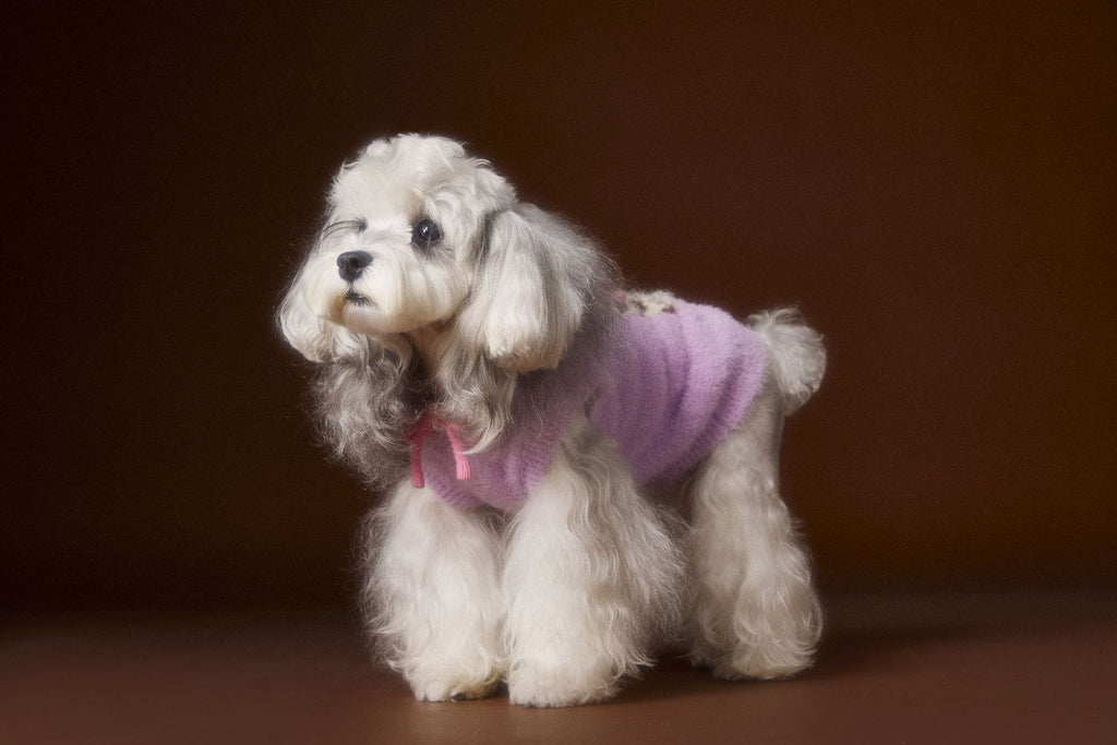 Spotted Pup Fuzzy Hooded Vest