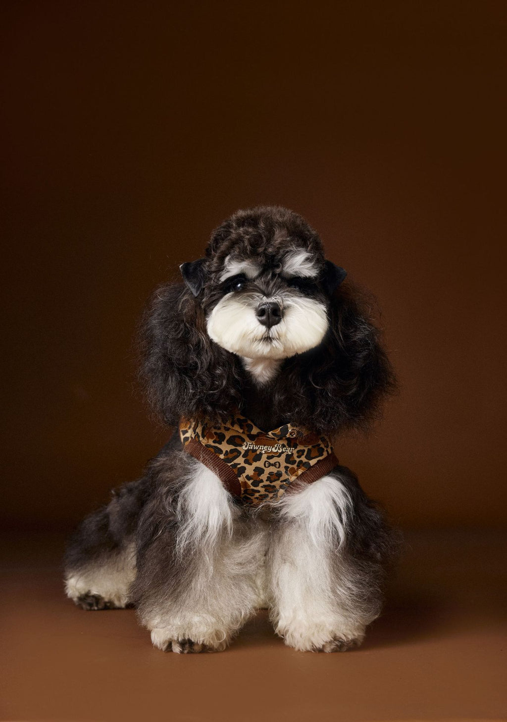 Leopard Print Dog Hoodie Vest