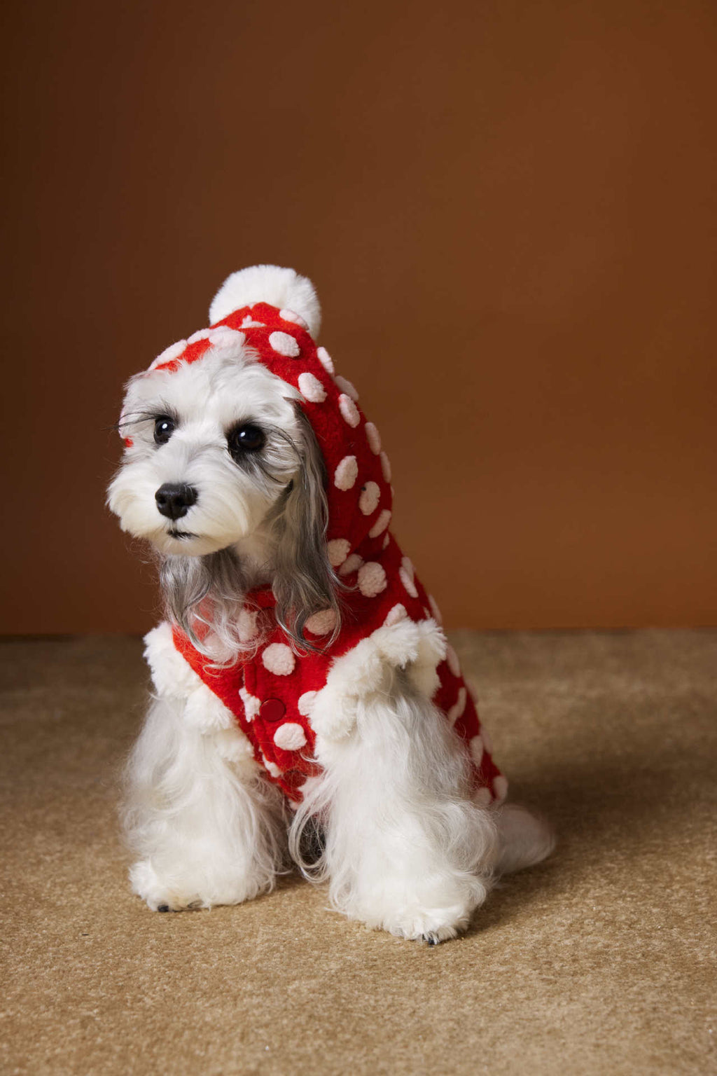 Polka Dot Hooded Fleece Vest