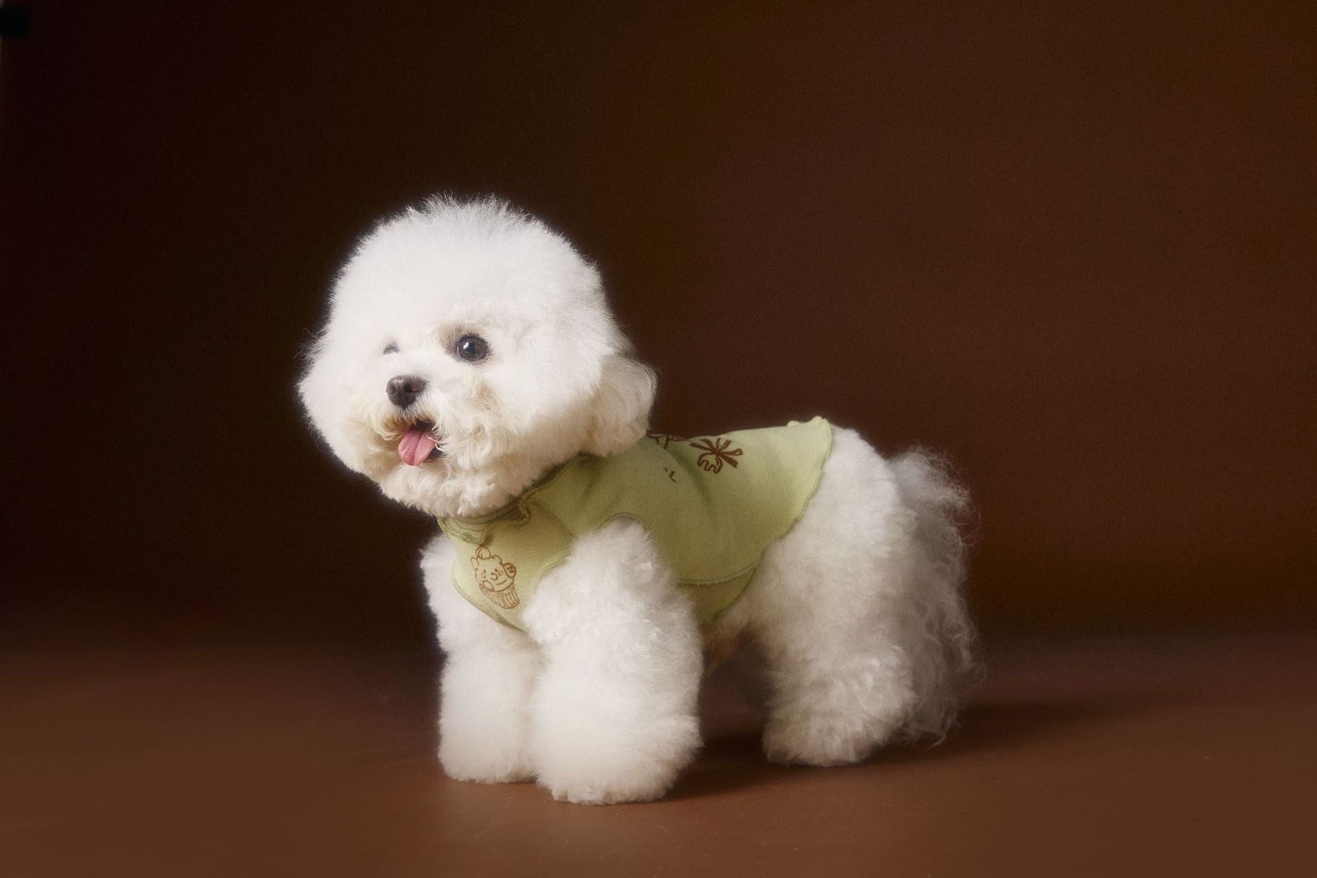 Ruffle Cupcake Dog Vest