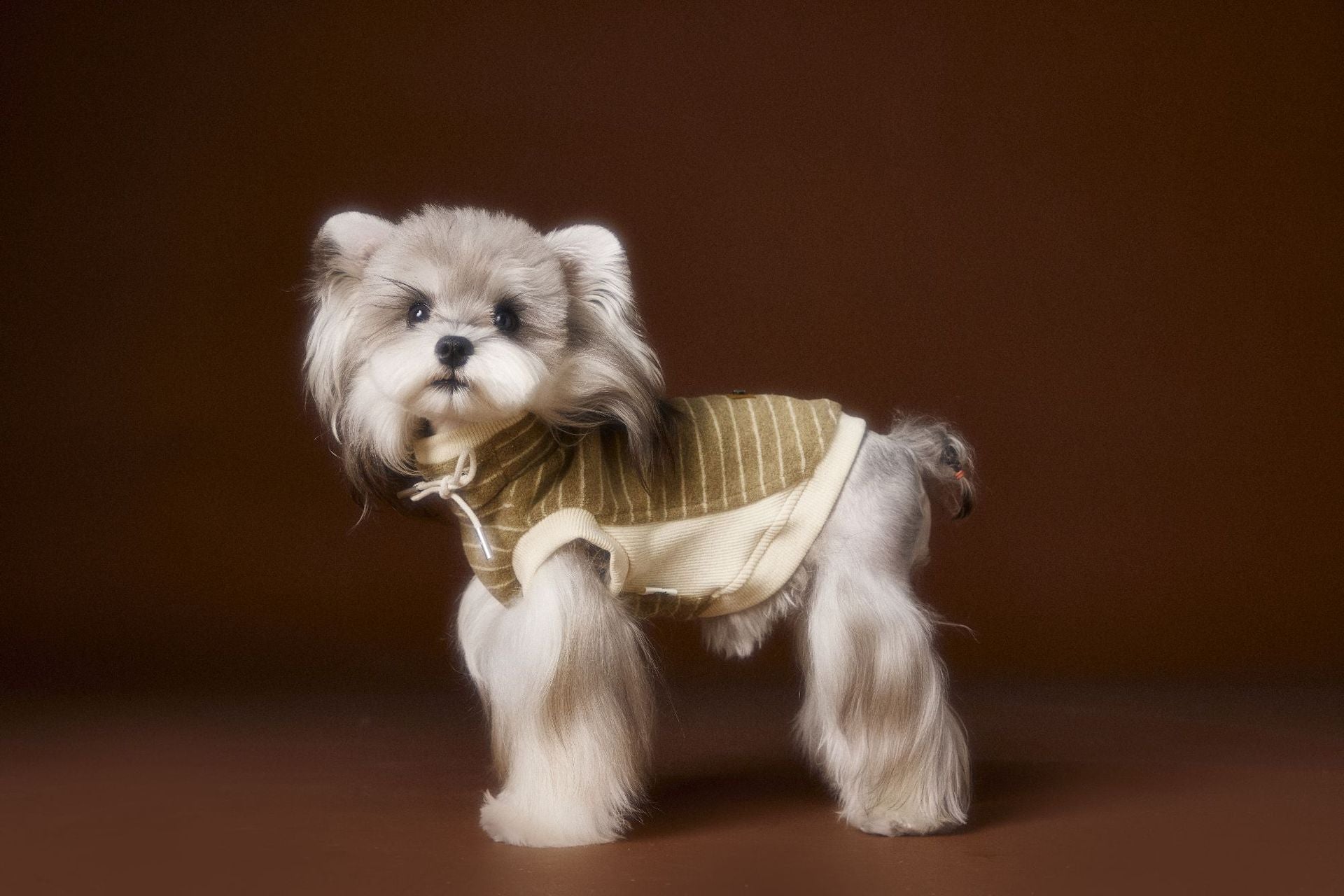 Striped Turtleneck Knit Vest