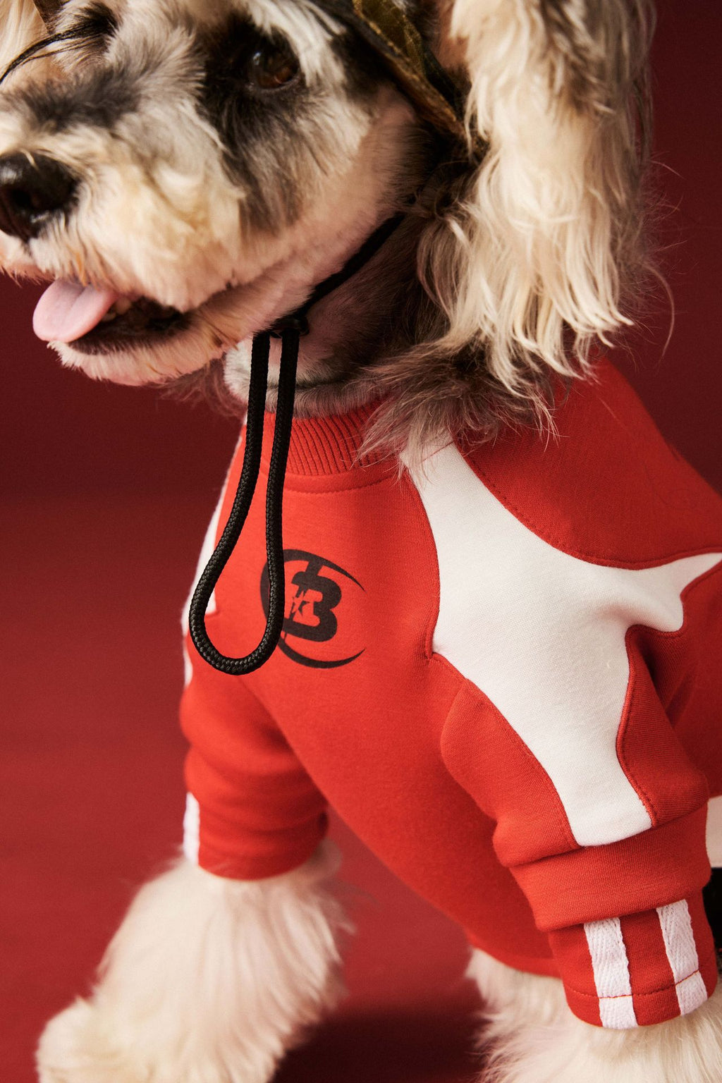 Moto Style Sweatshirt for Dogs