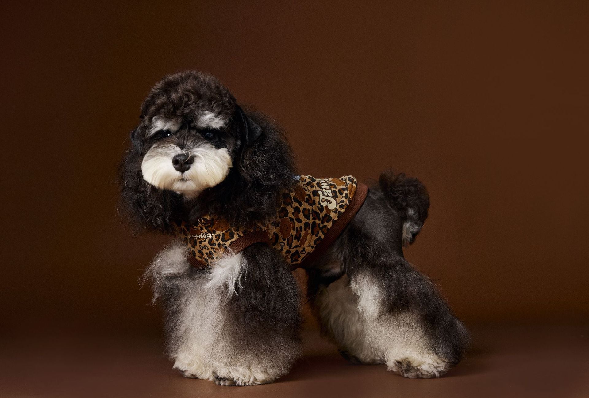 Leopard Print Dog Hoodie Vest