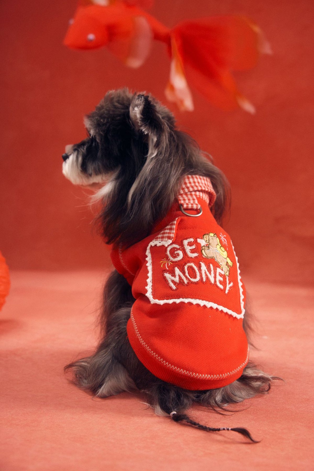 Lucky Get Money Pony Sweat Vest
