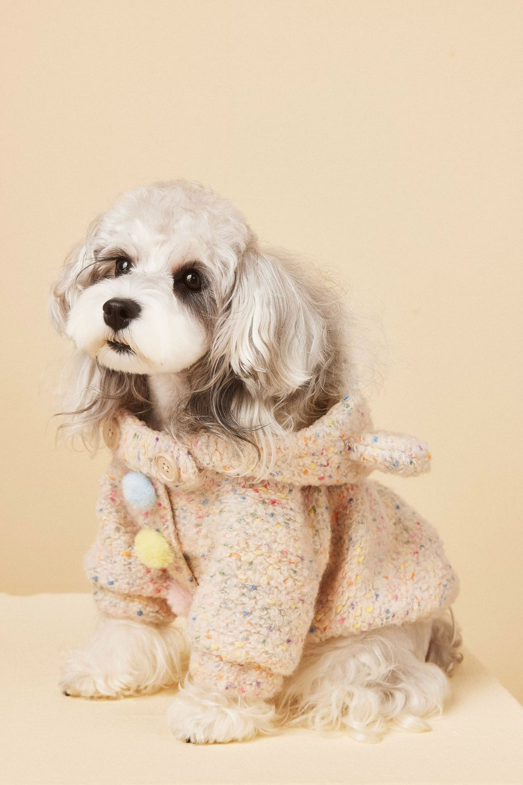 Teddy Ear Wool Hoodie
