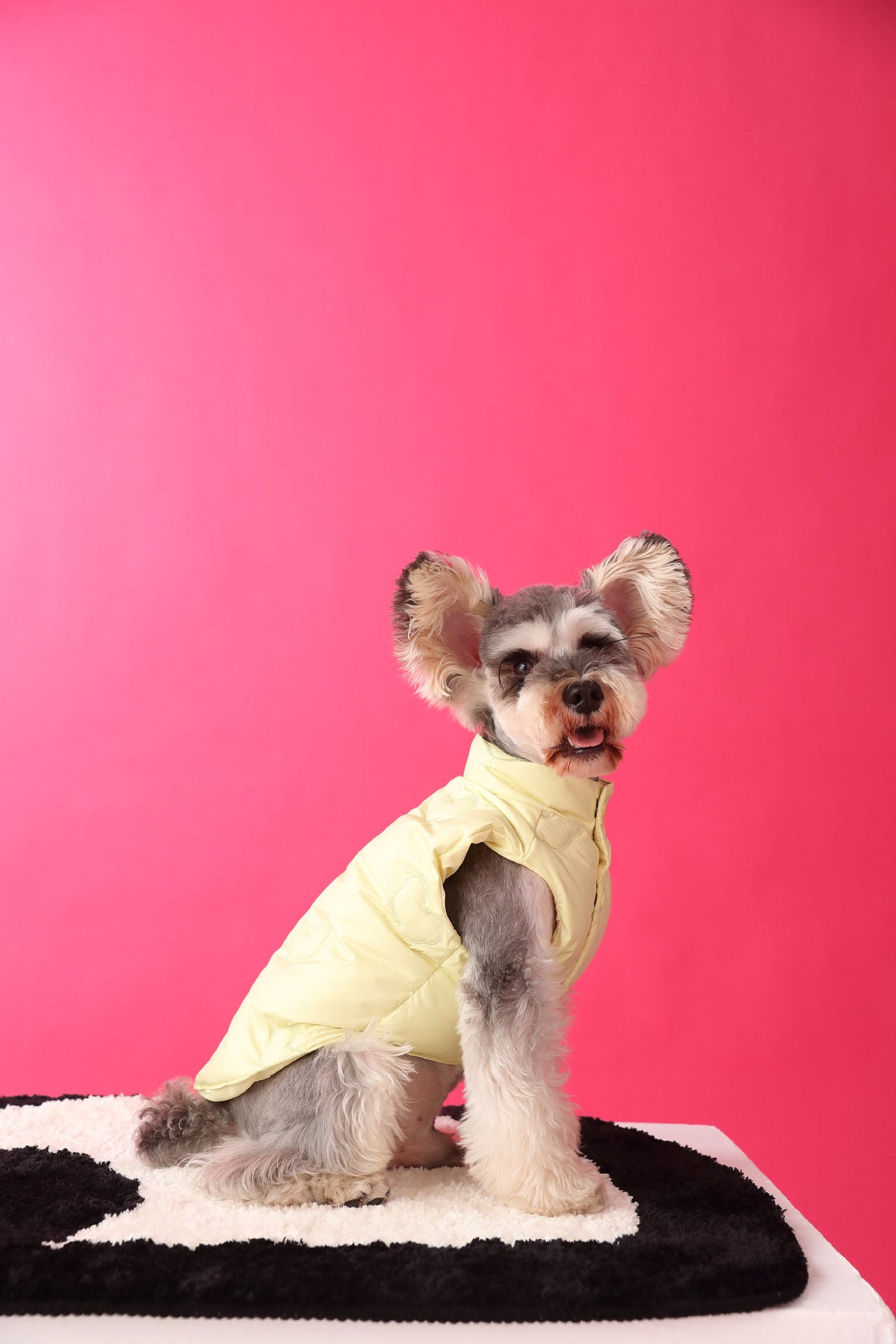 Warm Puffer Vest with Cloud Pattern