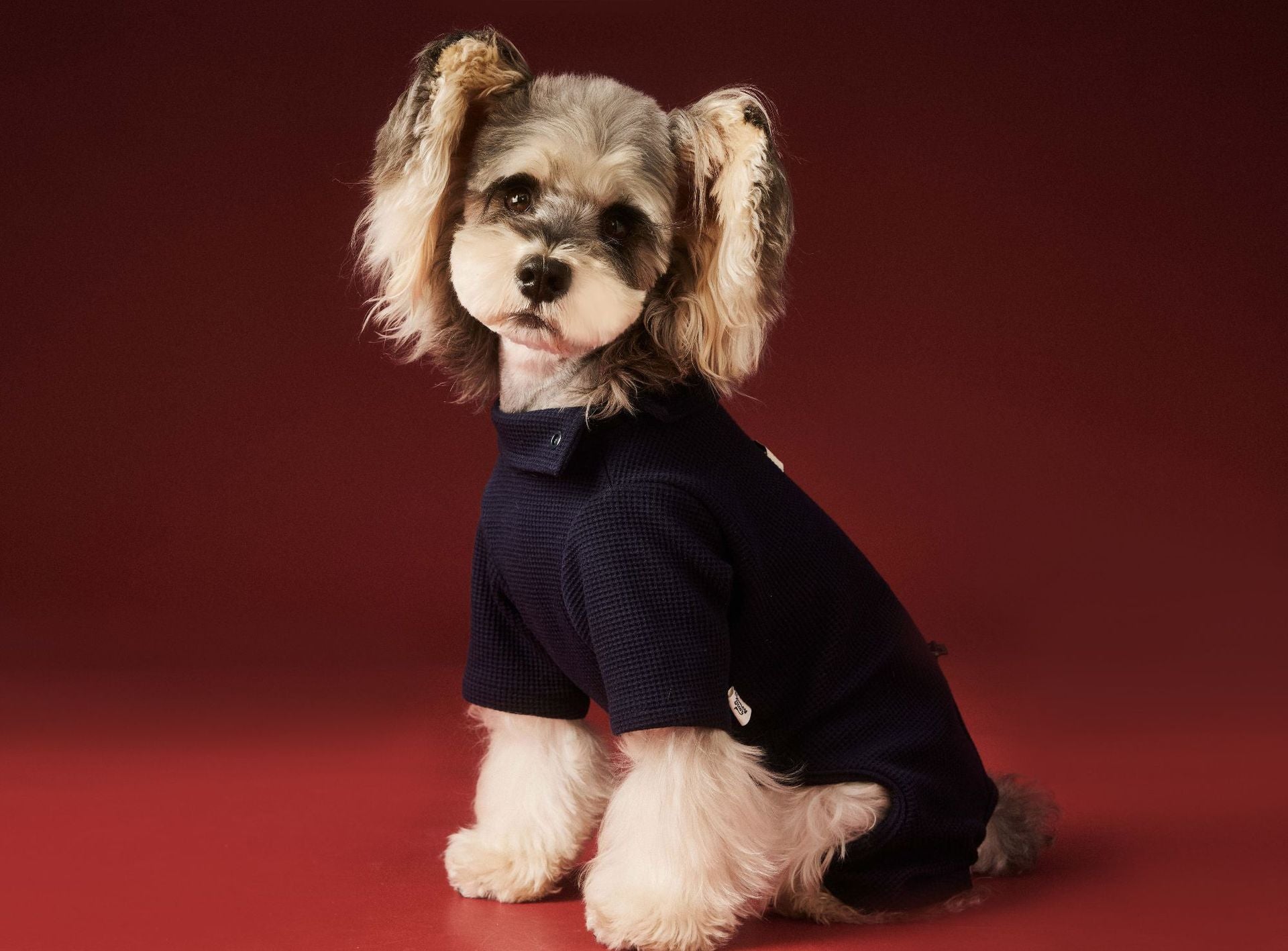 Waffle Knit Dog Onesie