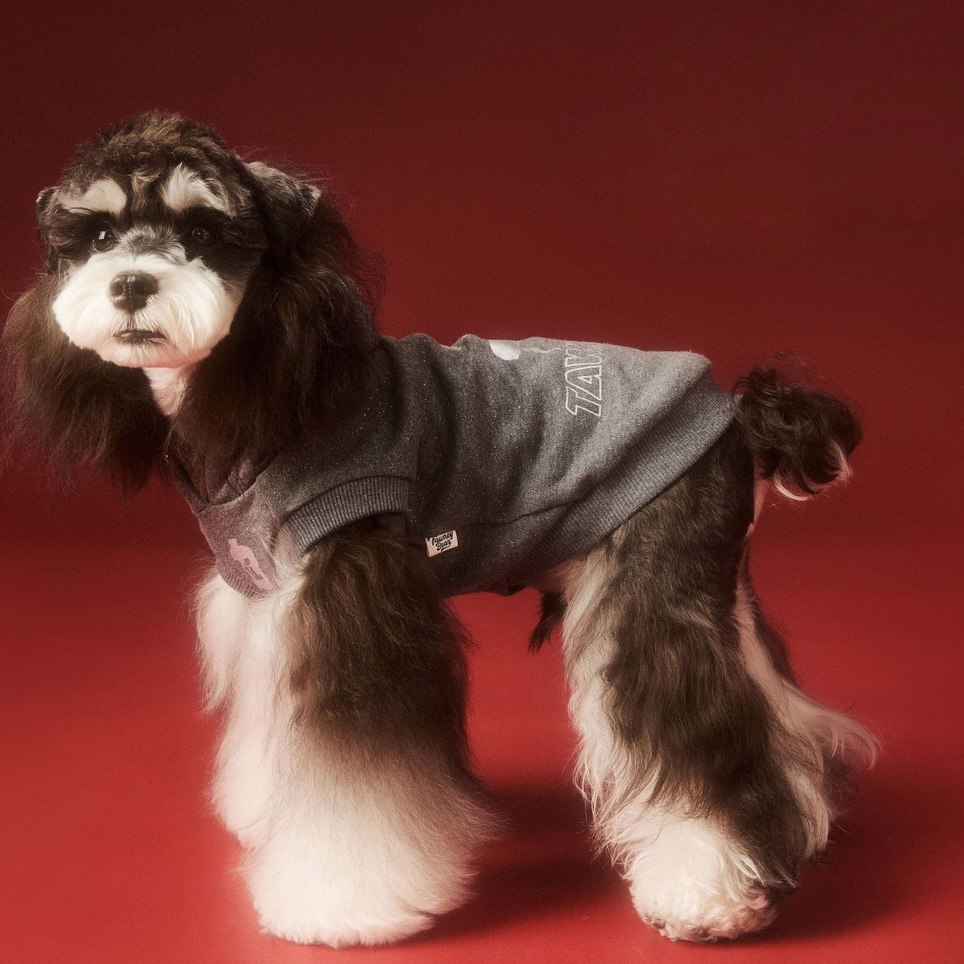Charcoal Logo Hoodie for Dogs