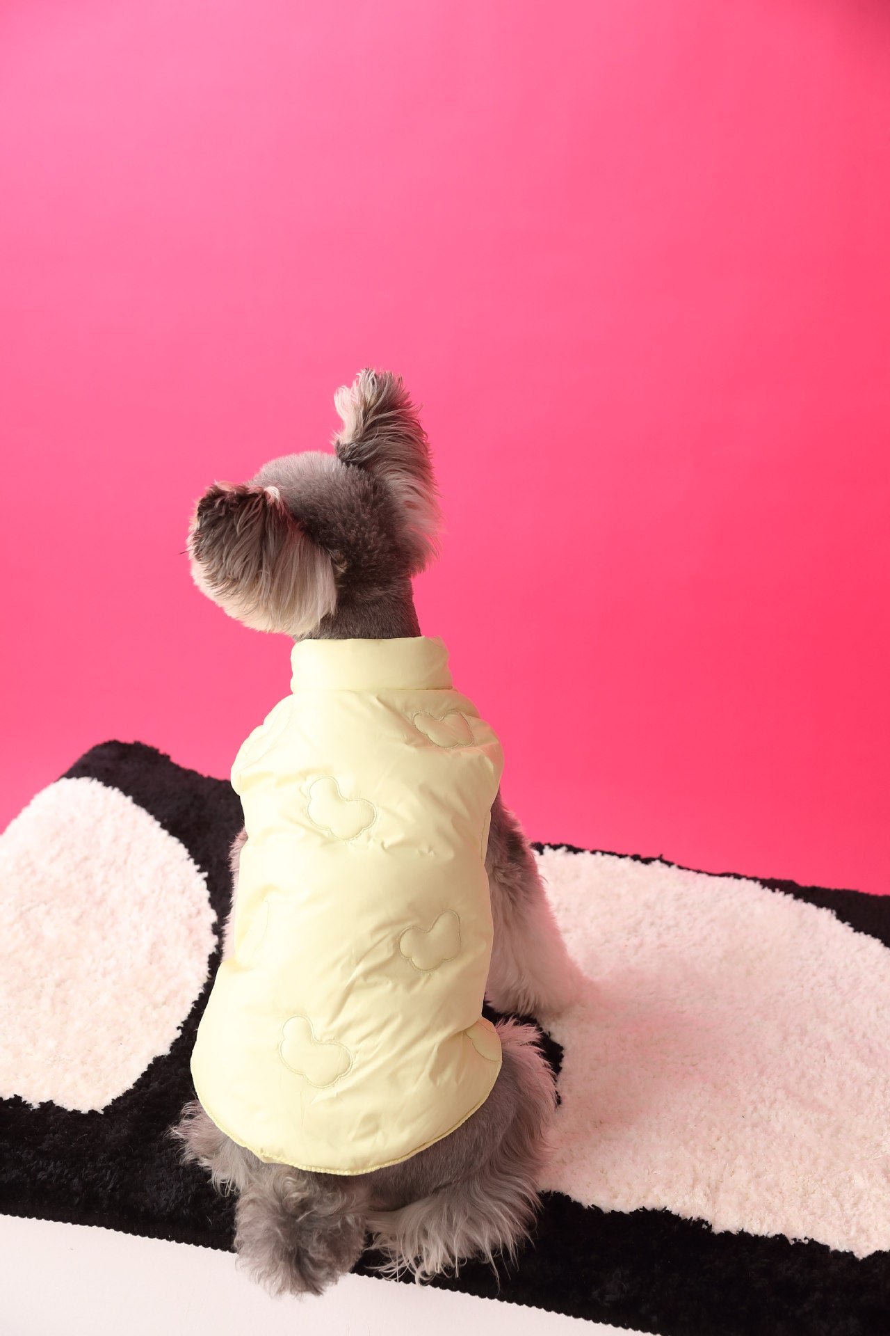 Warm Puffer Vest with Cloud Pattern