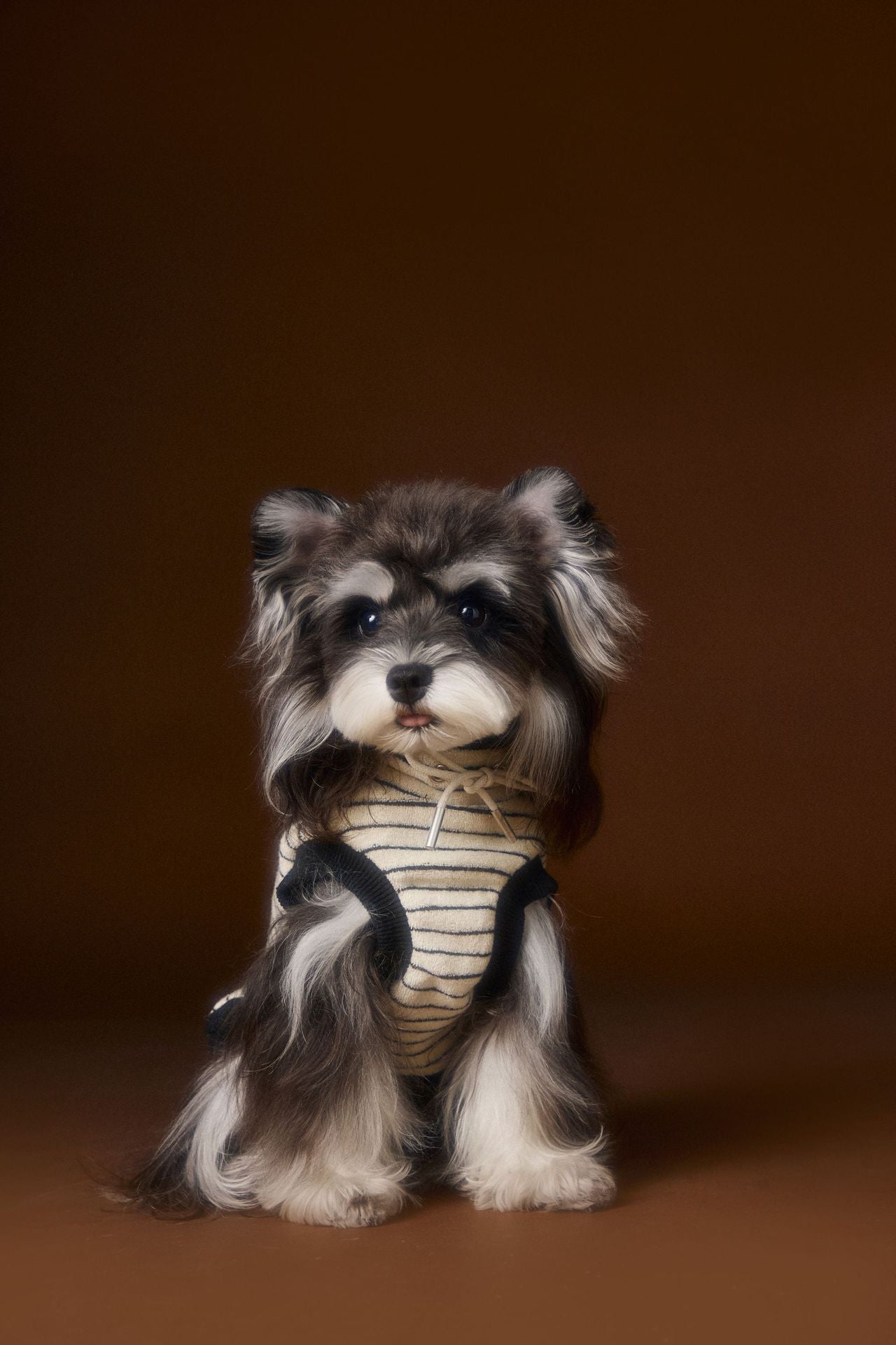 Striped Turtleneck Knit Vest