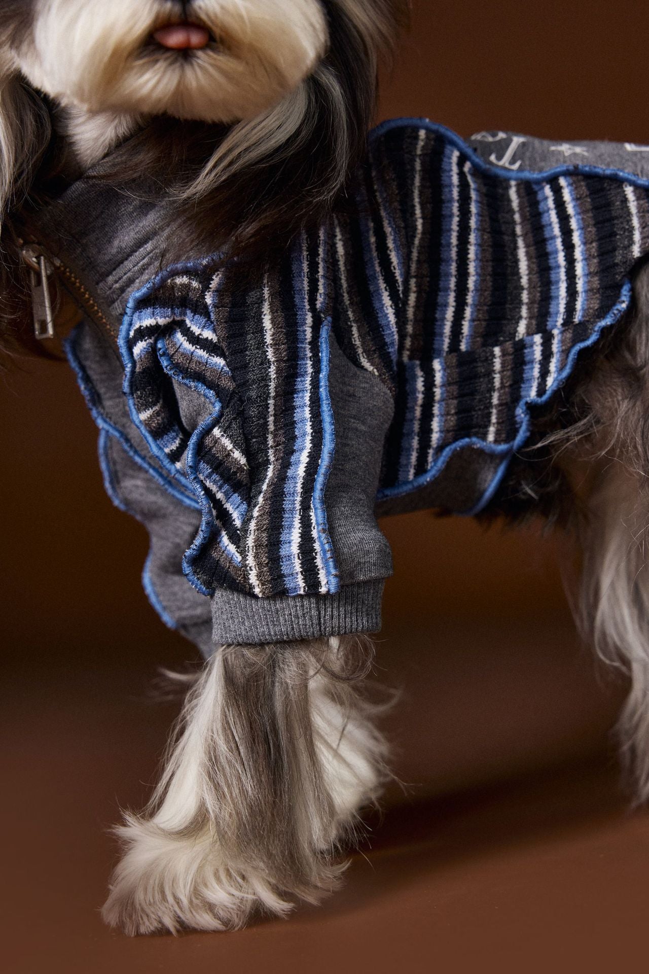 Colorblock Zip-Up Sporty Ruffle Sweatshirt