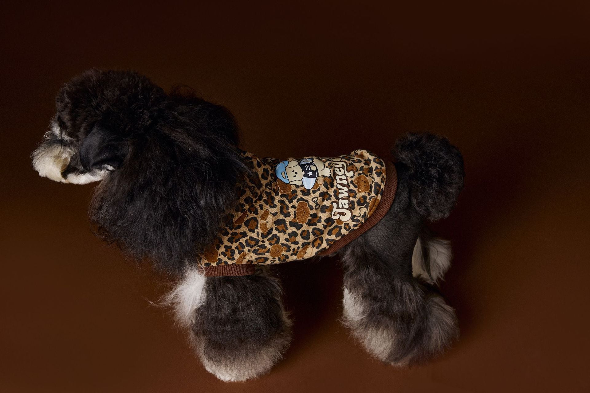 Leopard Print Dog Hoodie Vest