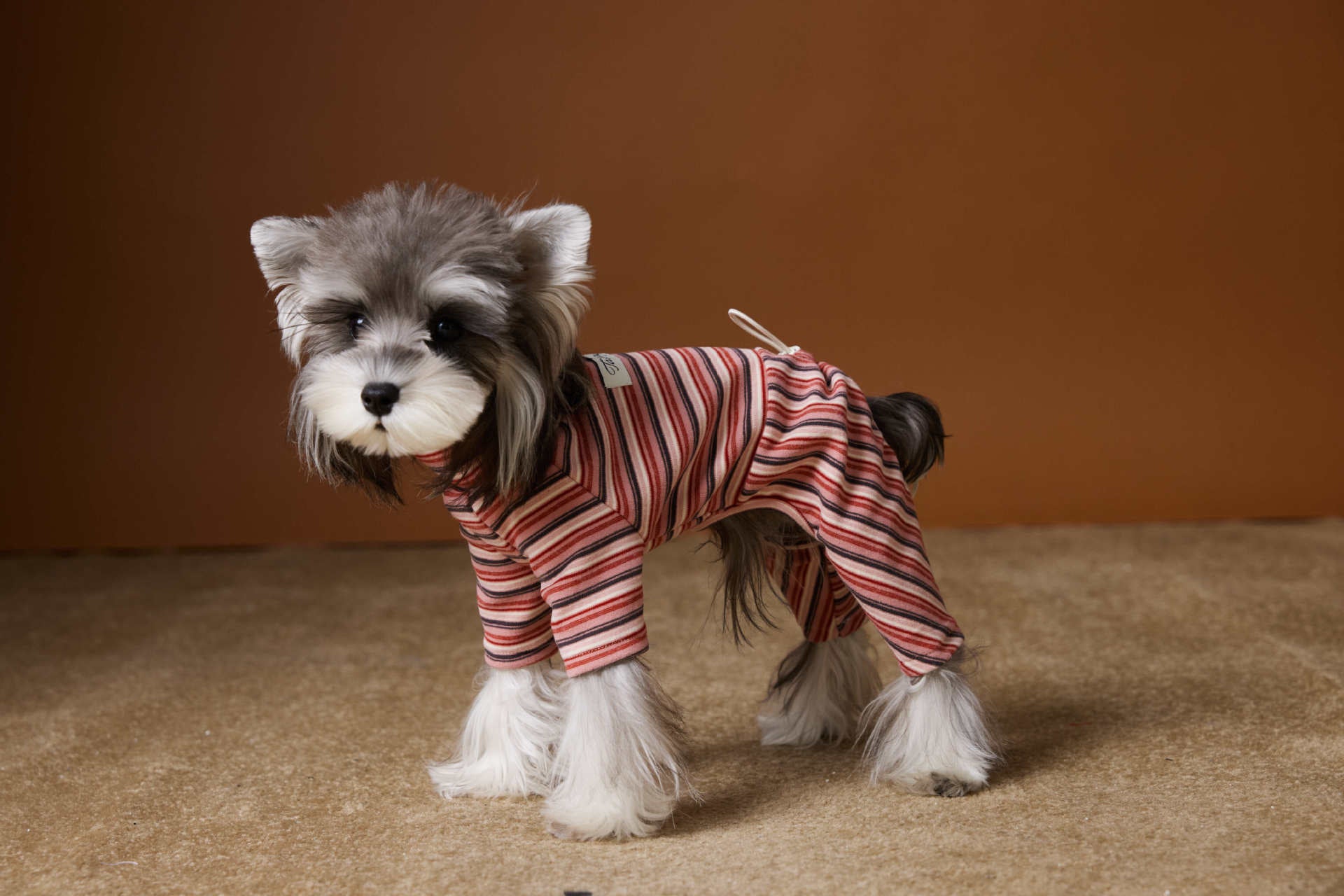 Striped Four-Legged Turtleneck Base Layer