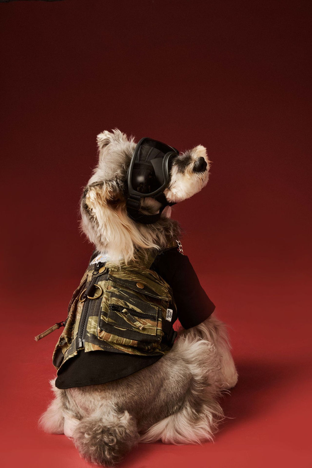 Camouflage Tactical Style Dog Vest
