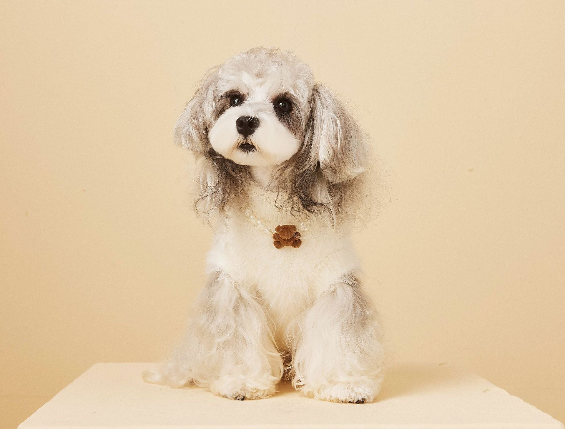 Fluffy Knit Dog Vest with Teddy Face
