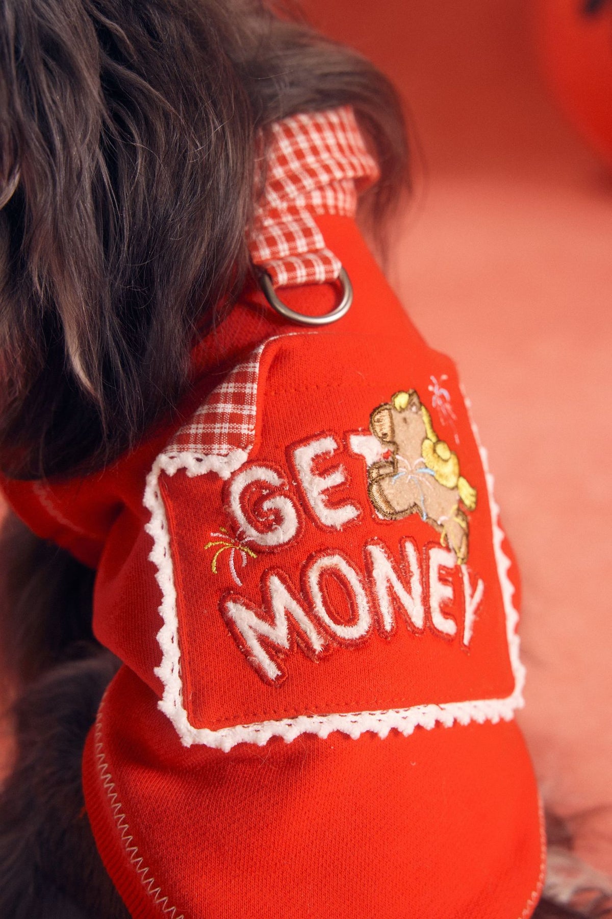 Lucky Get Money Pony Sweat Vest