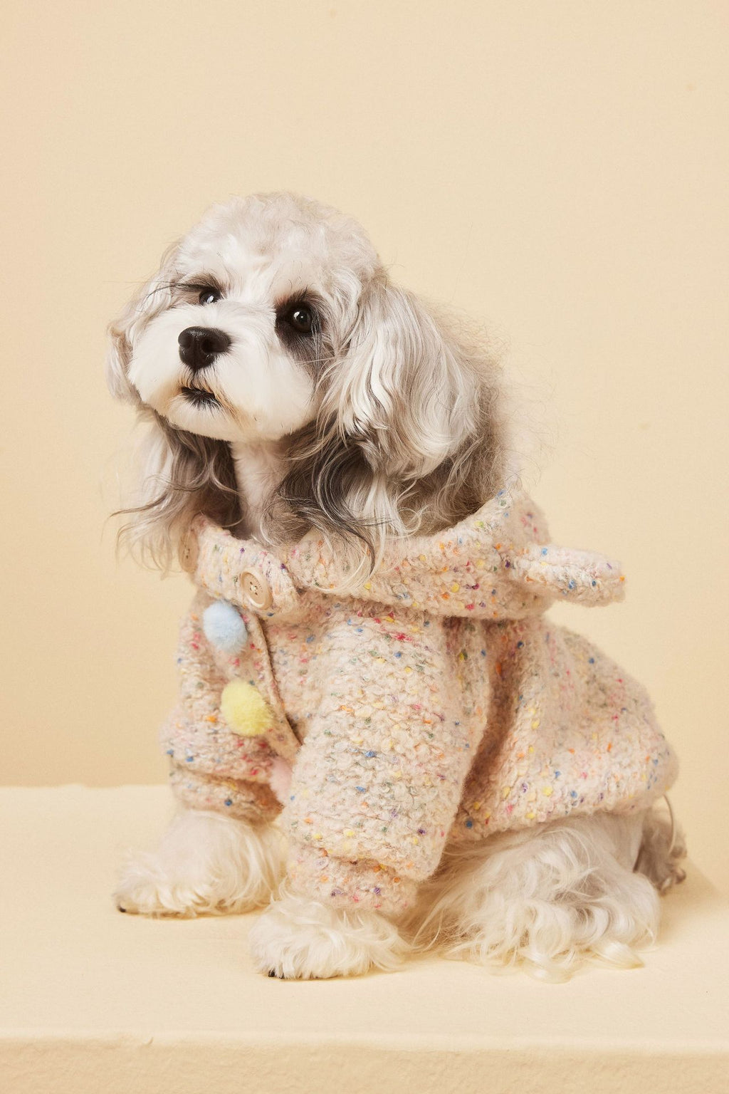 Teddy Ear Wool Hoodie