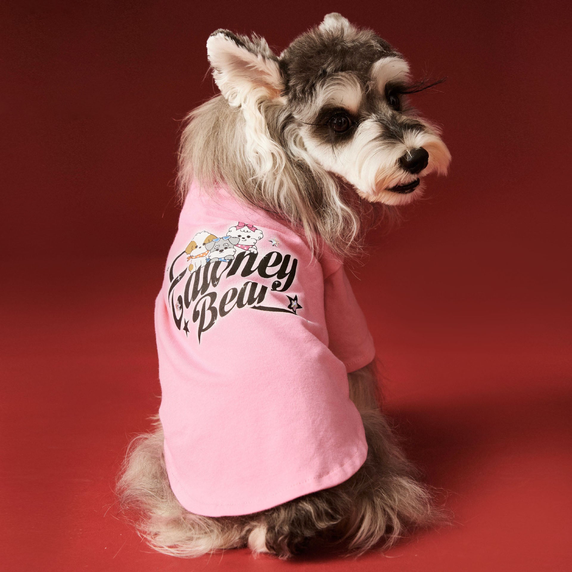 Pink Cartoon Graphic Pet Sweatshirt