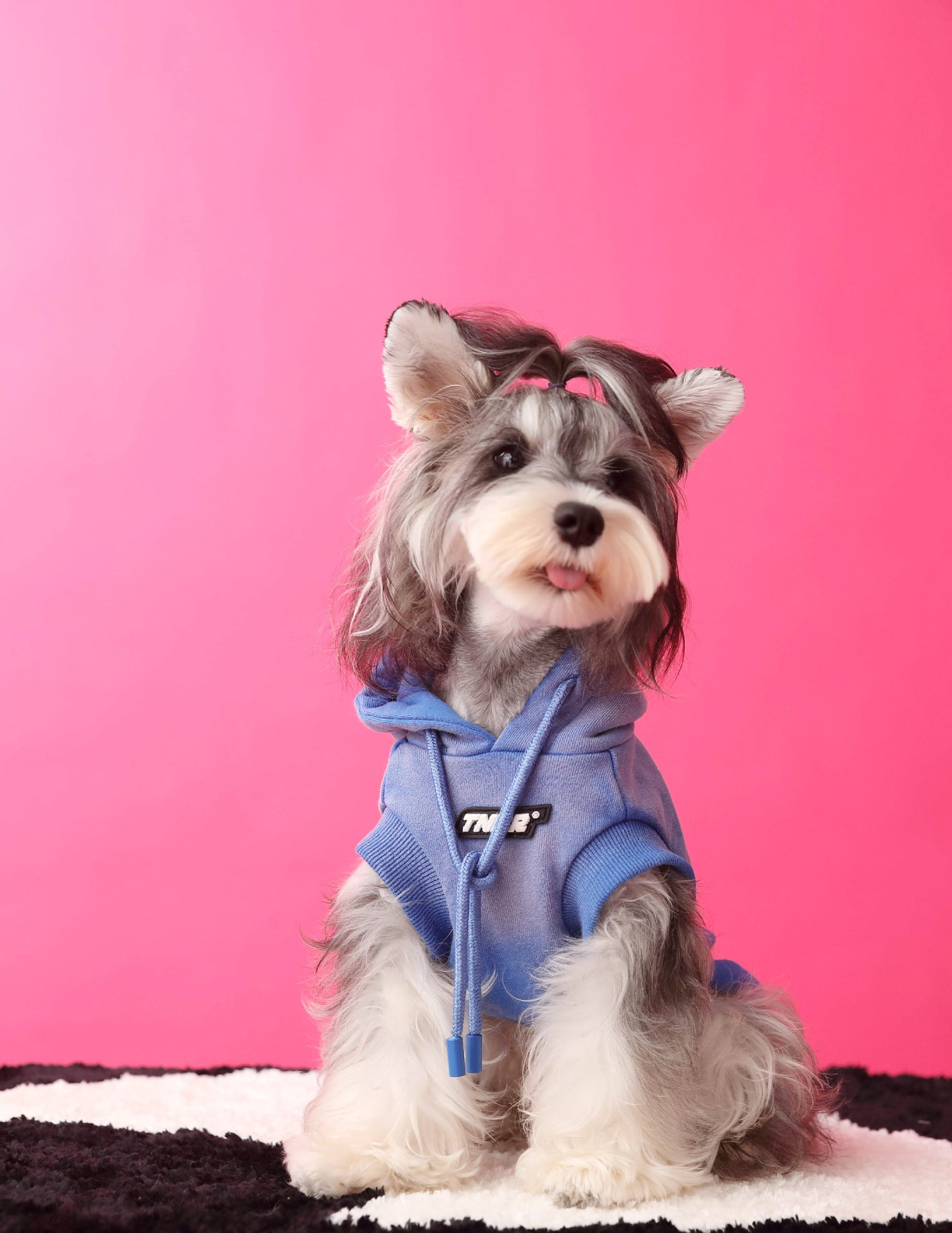 TNBR Sleeveless Hoodie