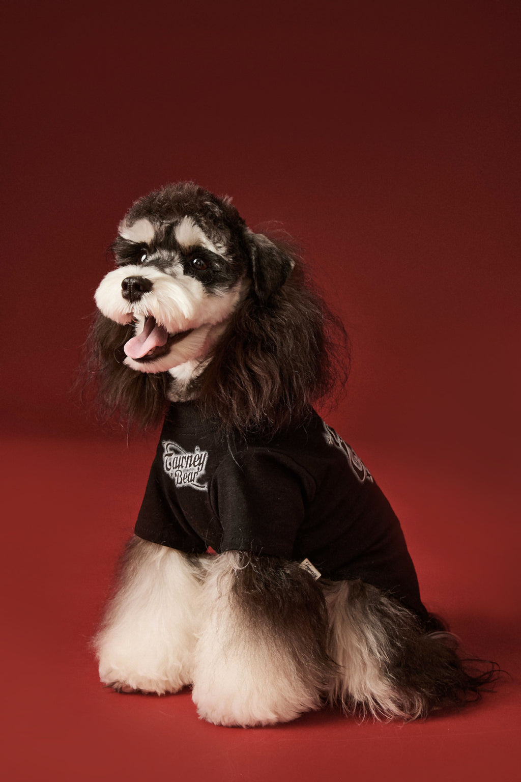 Pink Cartoon Graphic Pet Sweatshirt