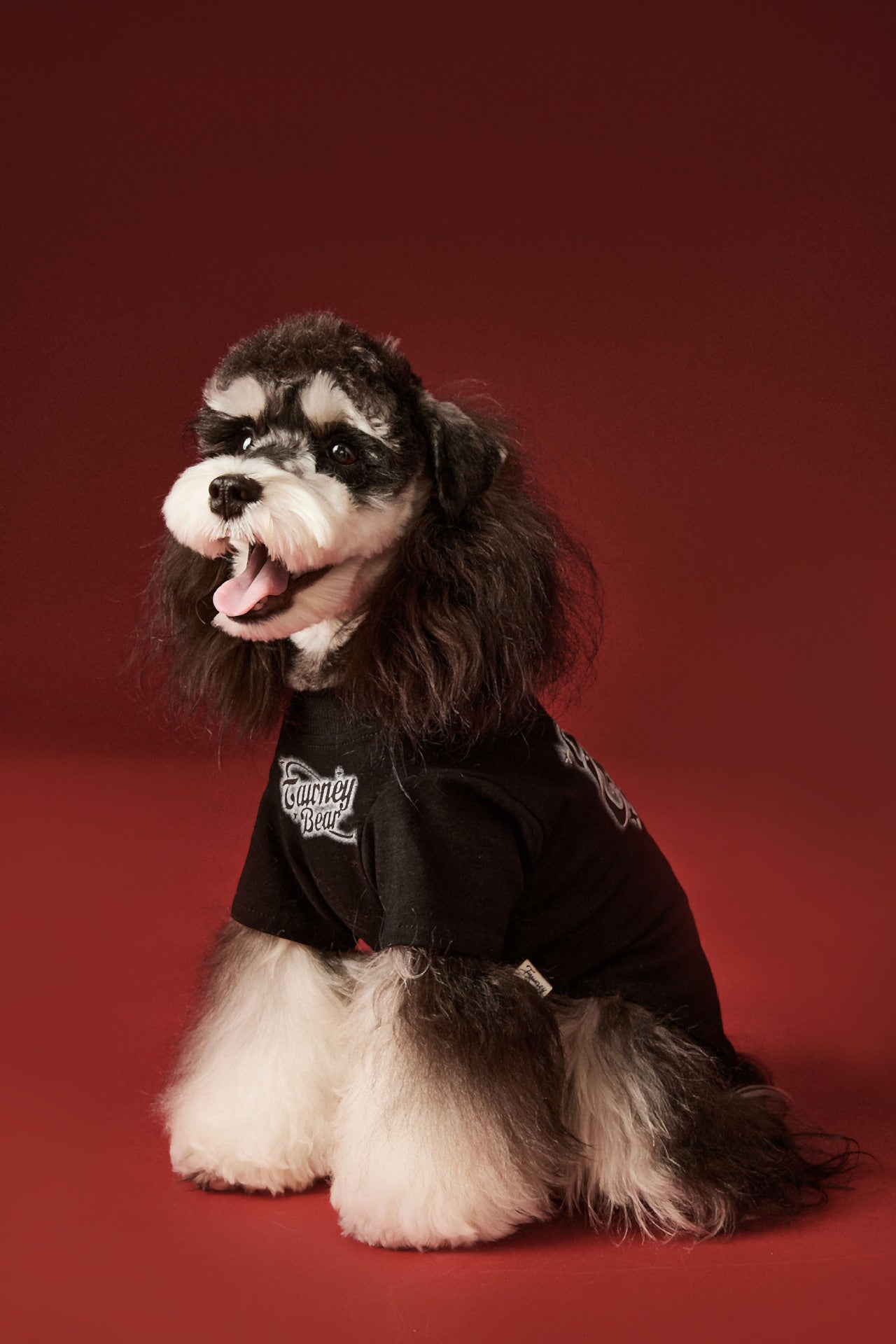 Pink Cartoon Graphic Pet Sweatshirt