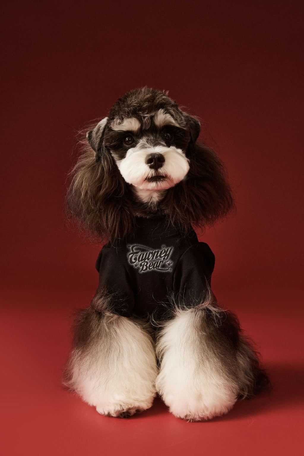 Pink Cartoon Graphic Pet Sweatshirt