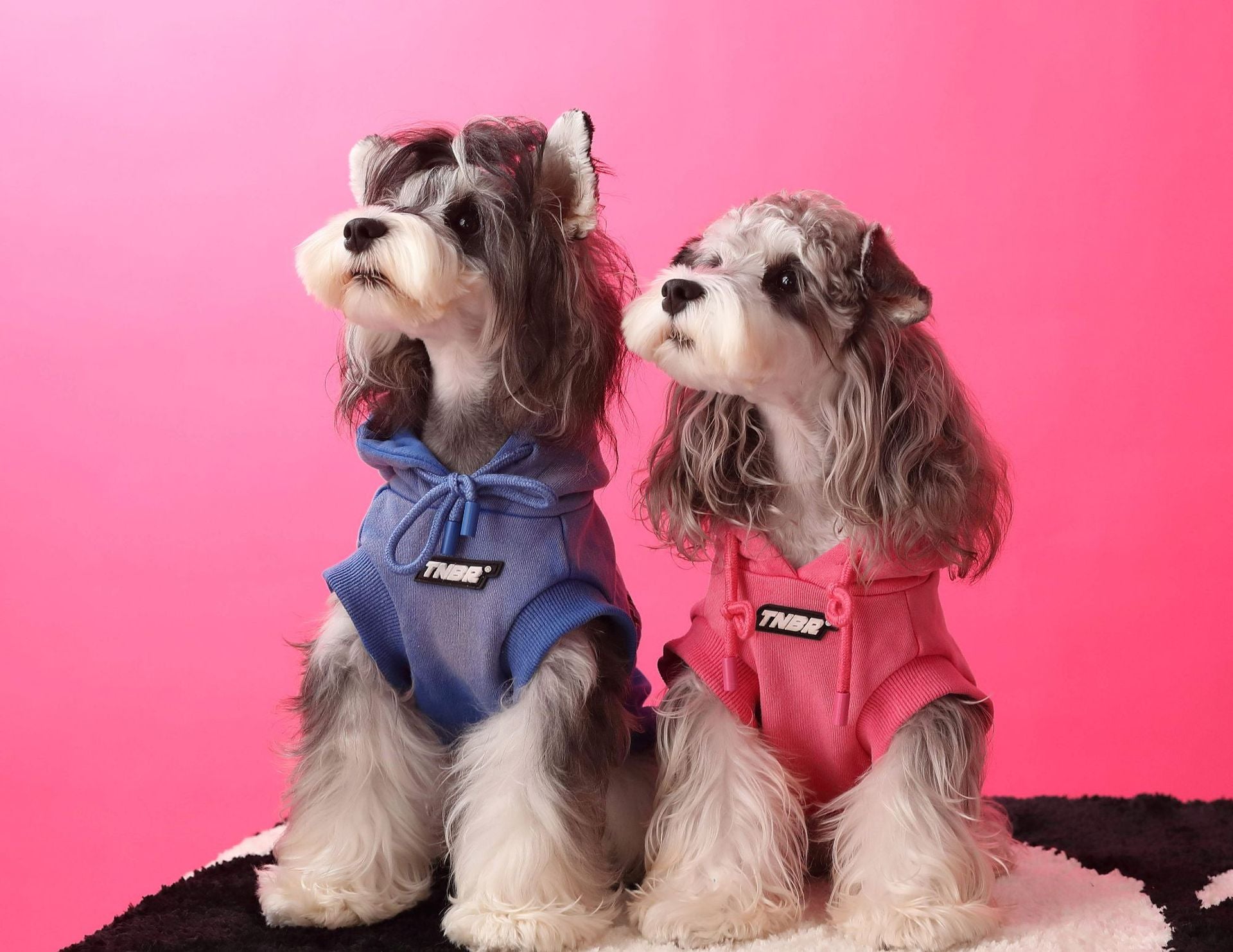 TNBR Sleeveless Hoodie