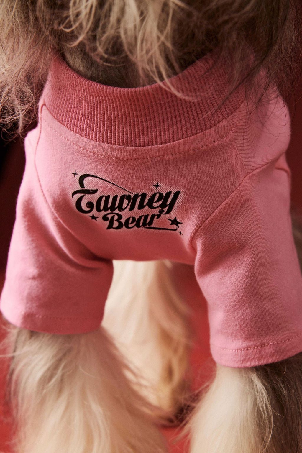 Pink Cartoon Graphic Pet Sweatshirt