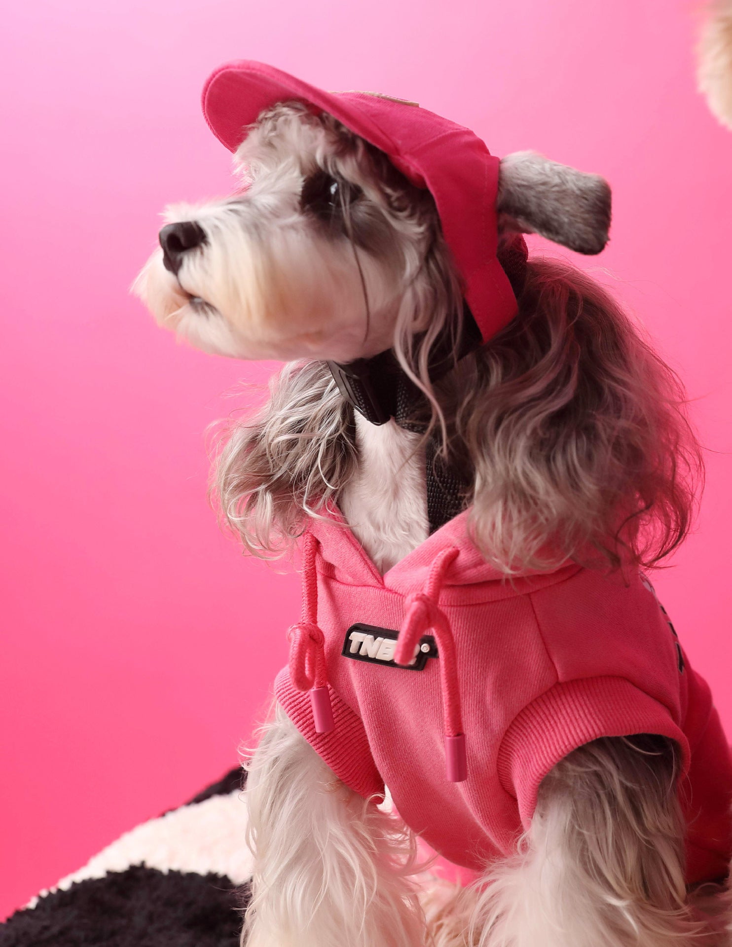 TNBR Sleeveless Hoodie