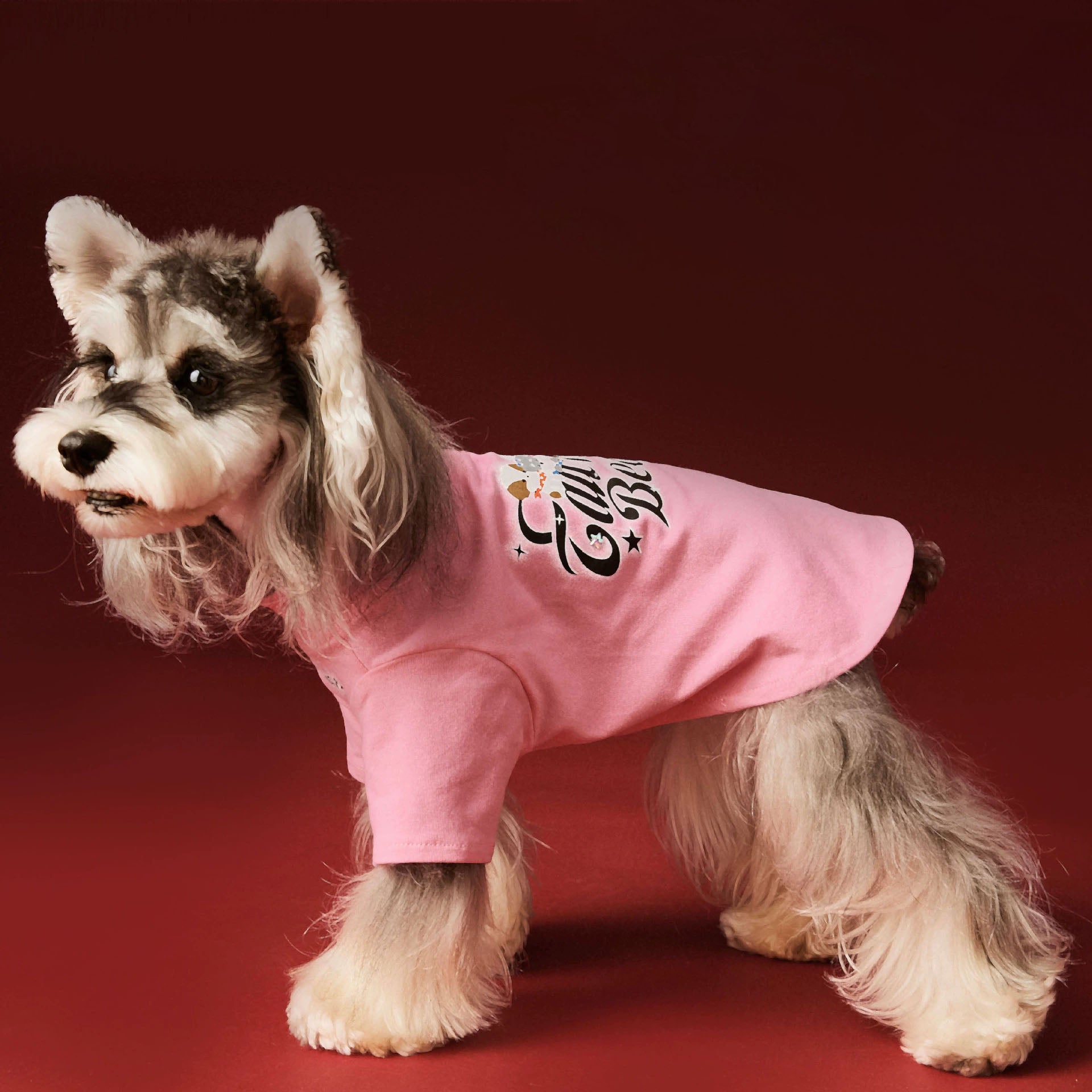 Pink Cartoon Graphic Pet Sweatshirt