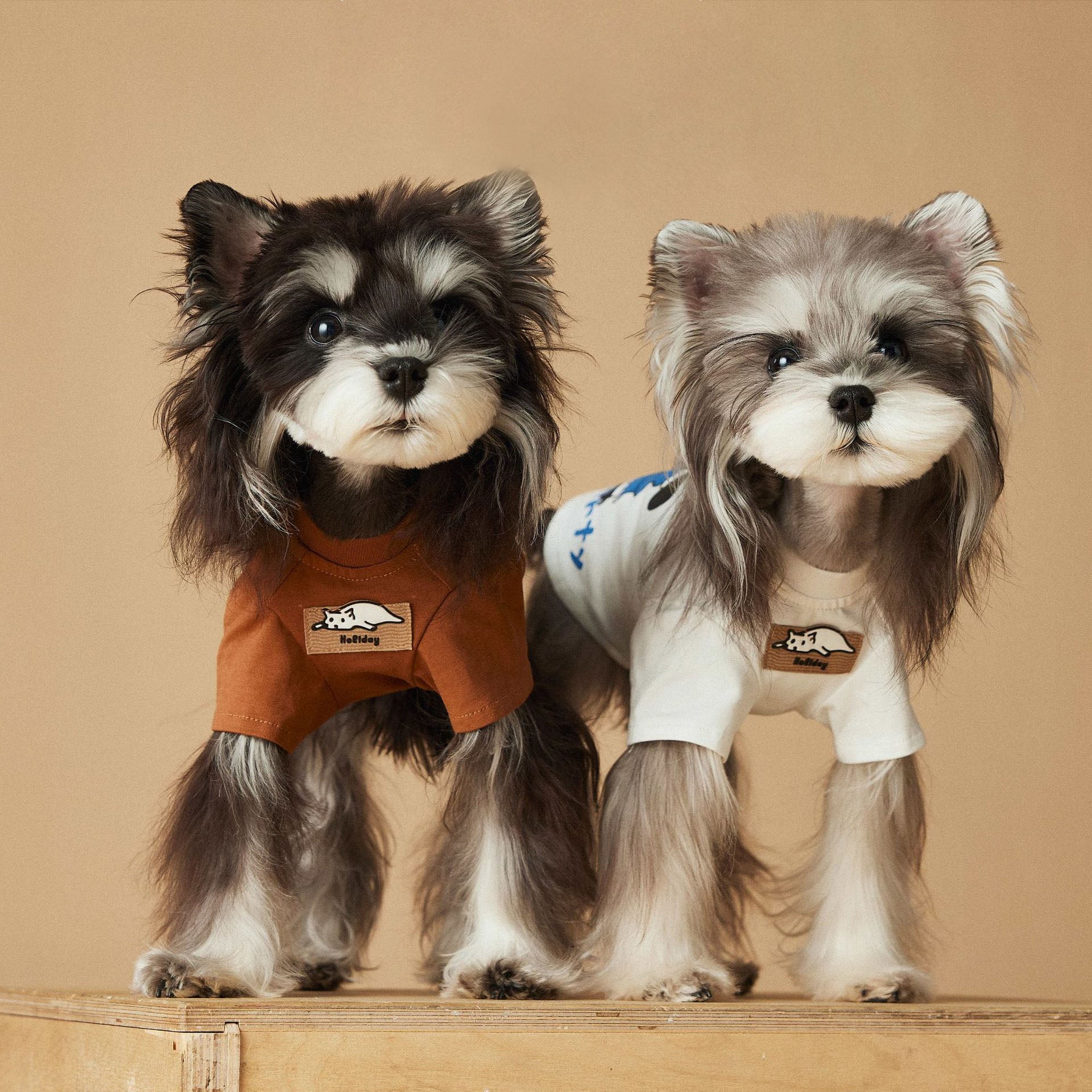 Puppy Party Printed T-Shirt