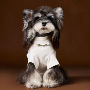 Pearl Necklace Detail Tee