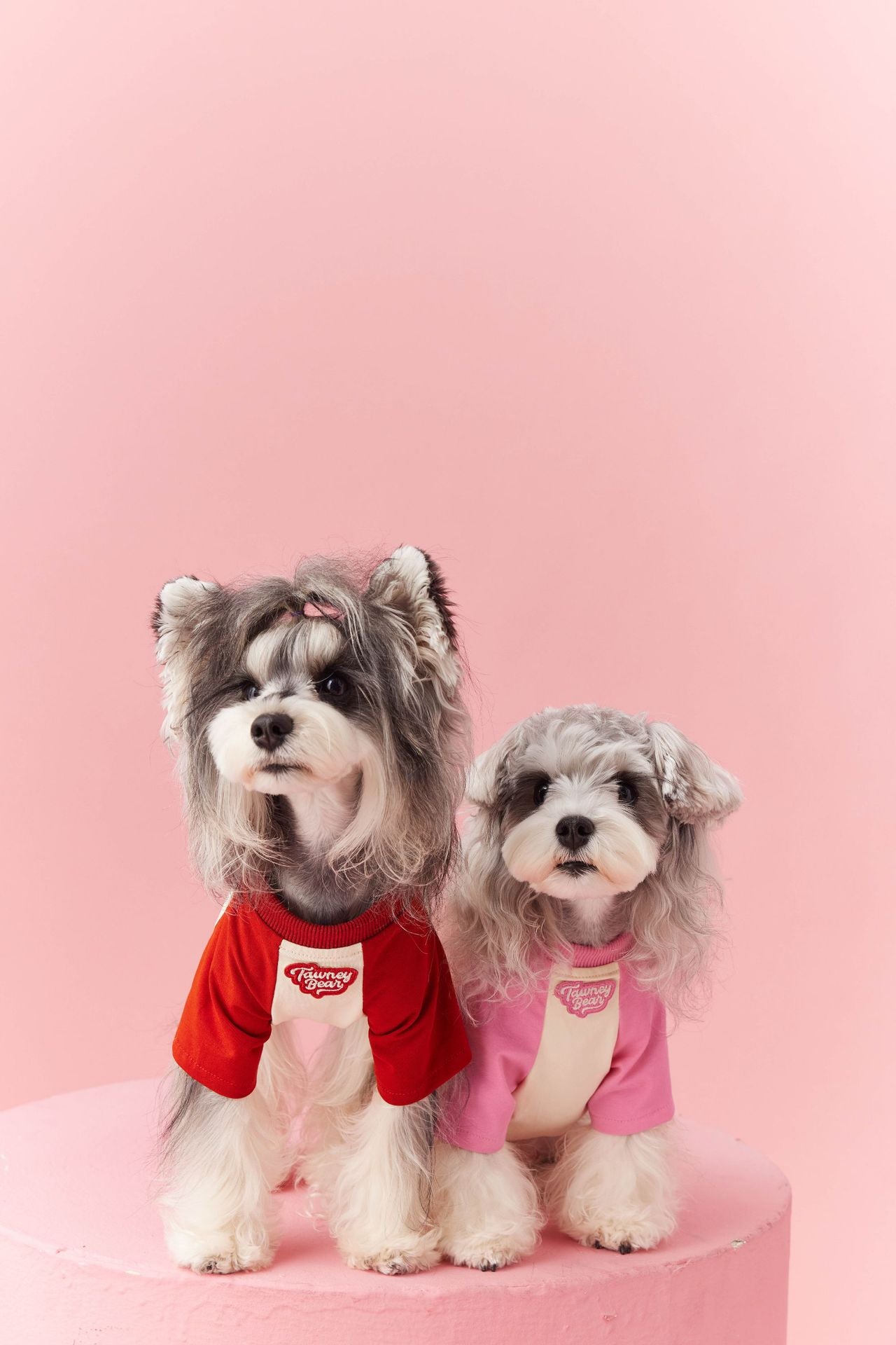 Retro Colorblock Dog Tee