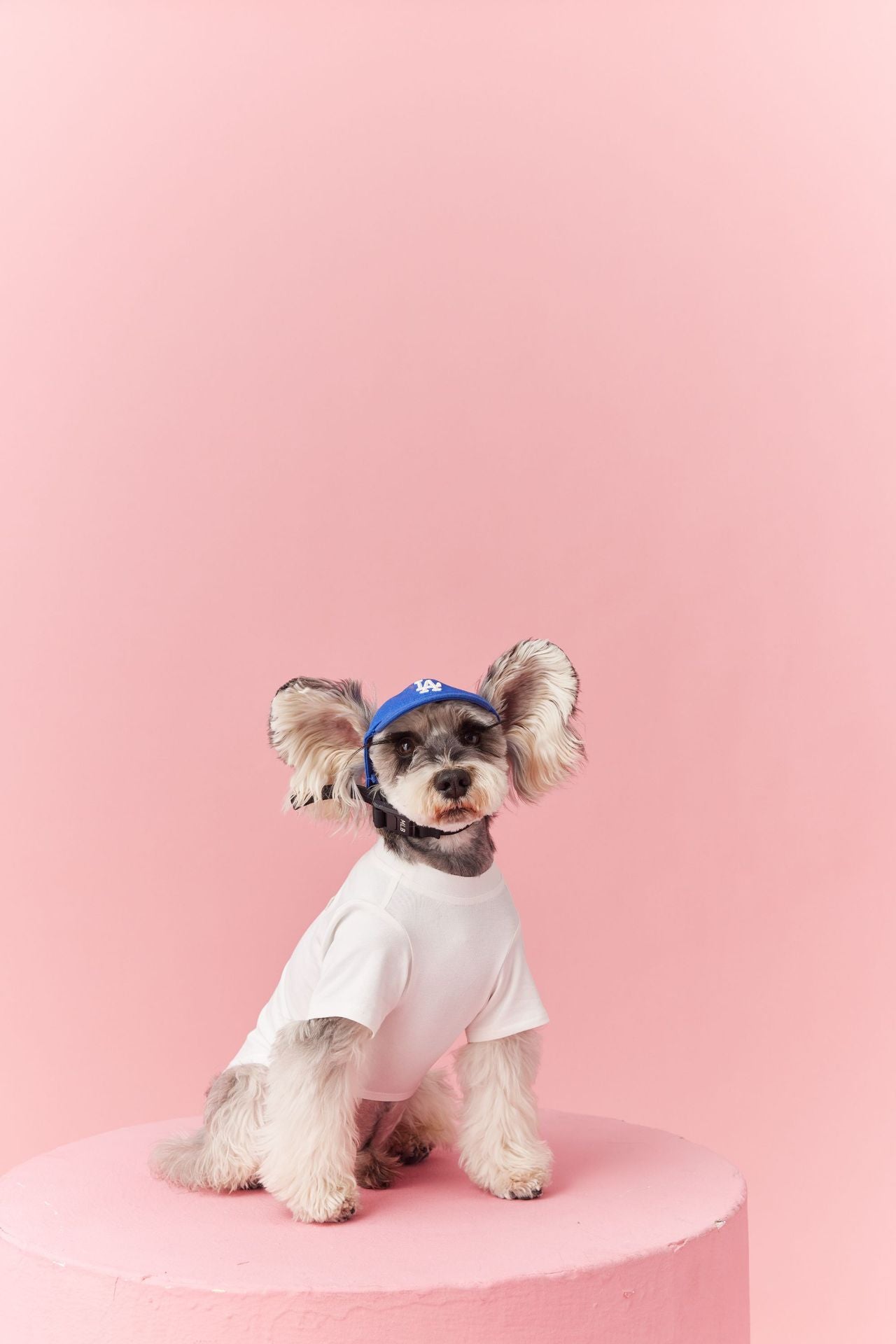 Summer Basic White Tee