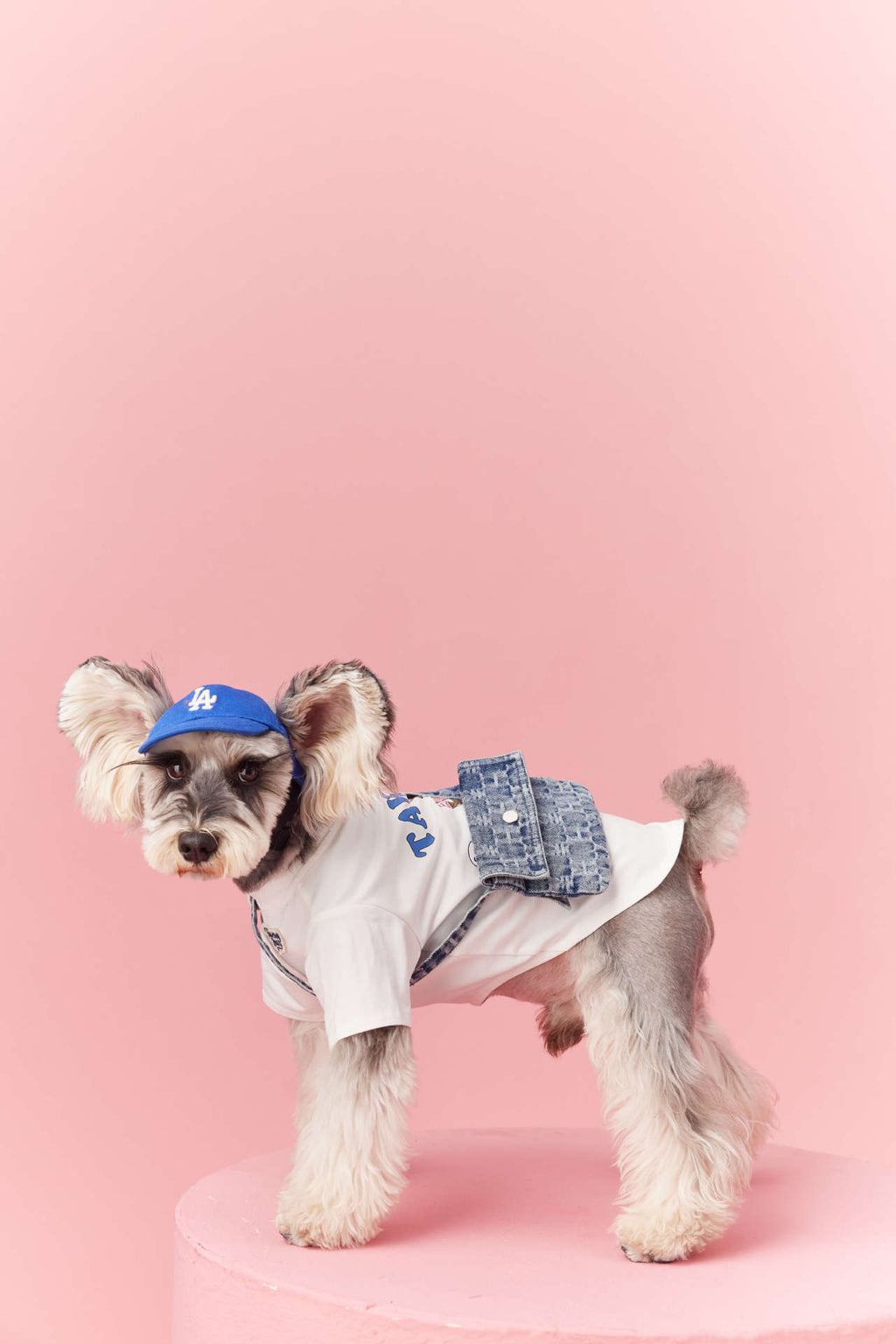 Adjustable Dog Baseball Cap | Sporty Sun Hat for Dogs