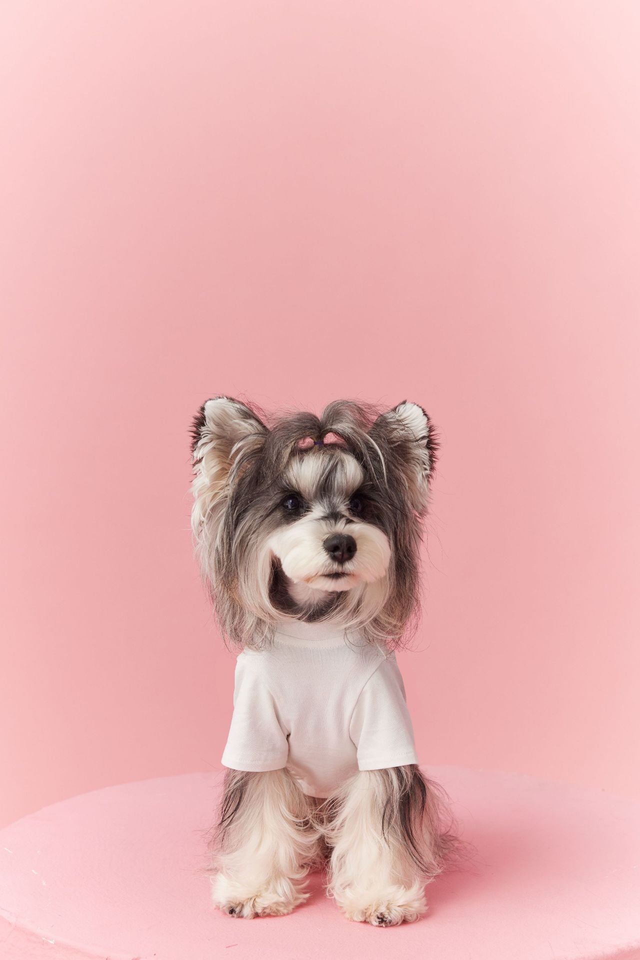 Summer Basic White Tee