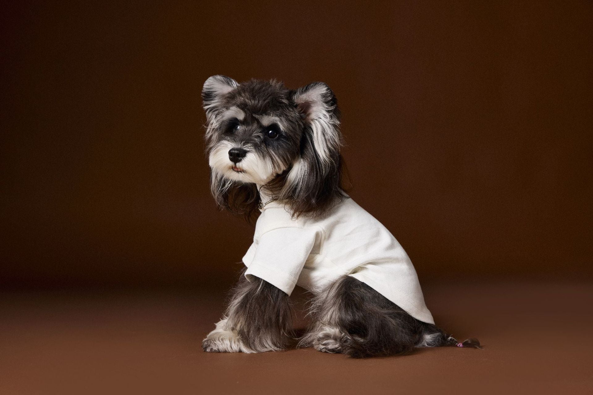 Pearl Necklace Detail Tee