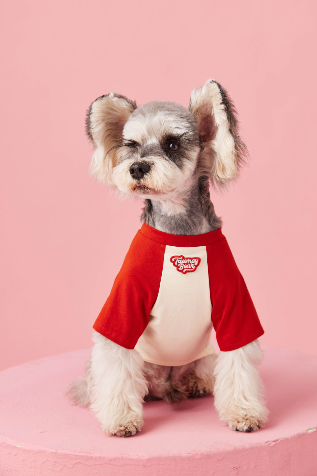 Retro Colorblock Dog Tee