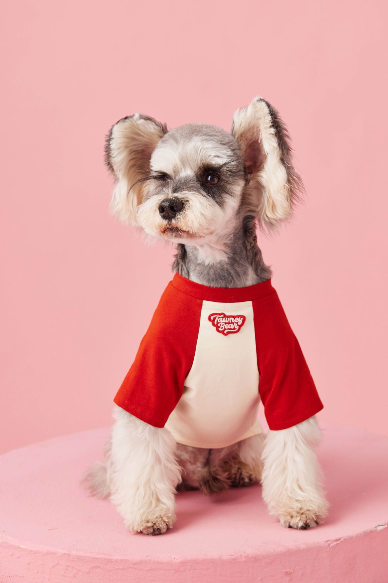 Retro Colorblock Dog Tee