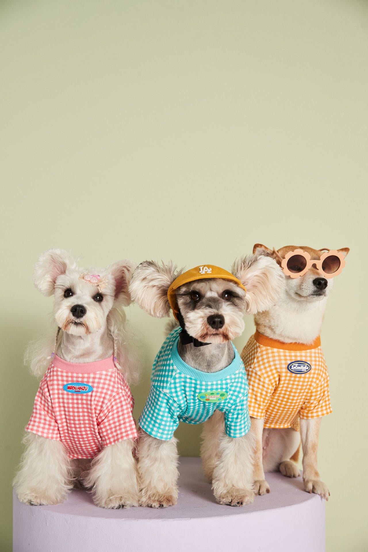 Candy Gingham Dog Tee