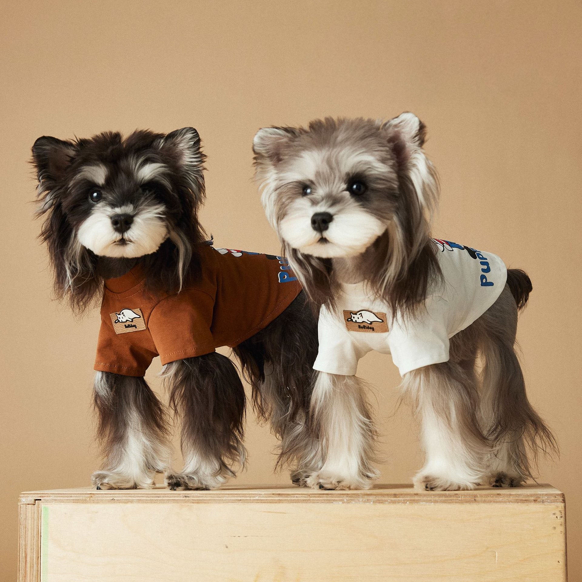 Puppy Party Printed T-Shirt