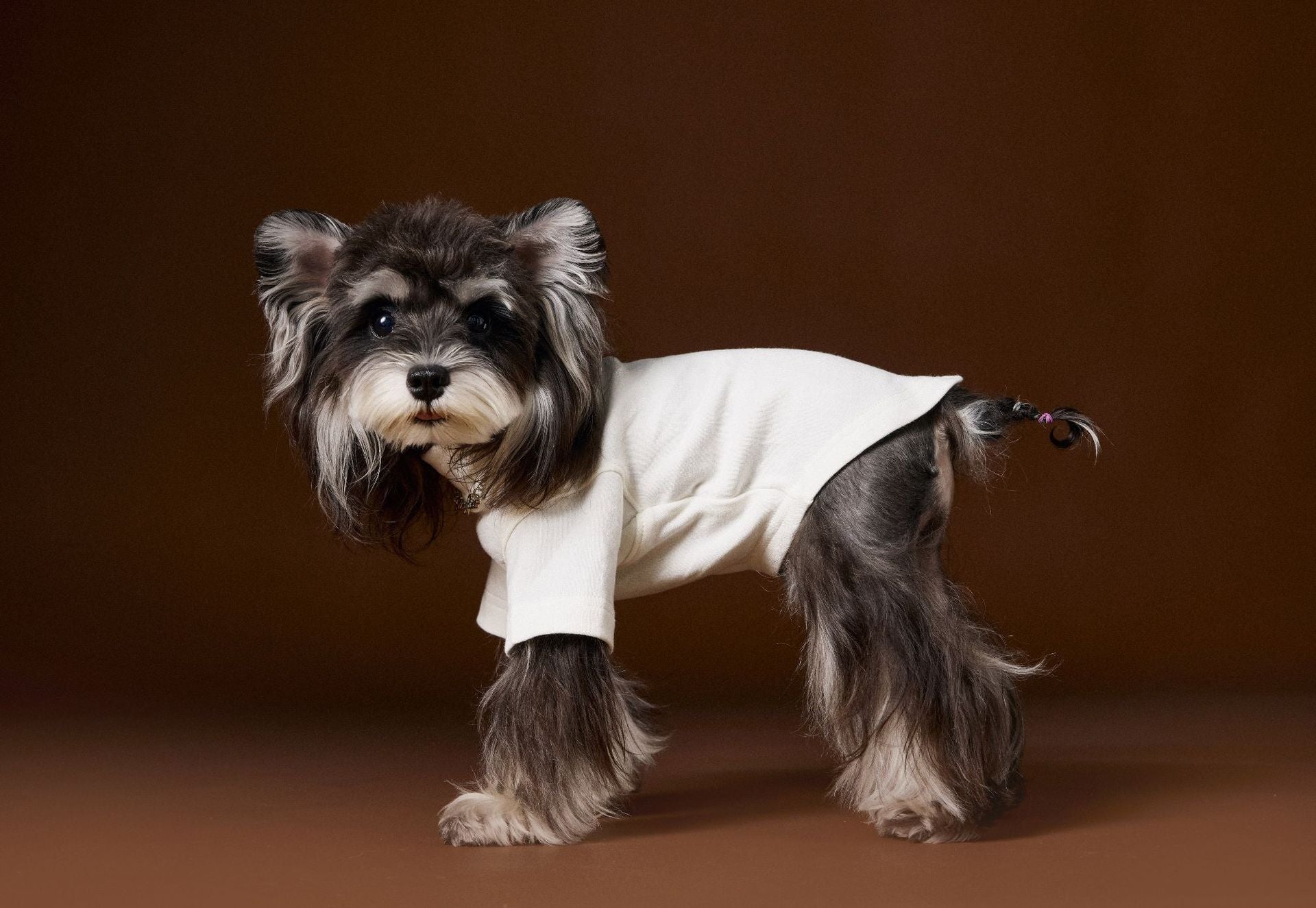 Pearl Necklace Detail Tee