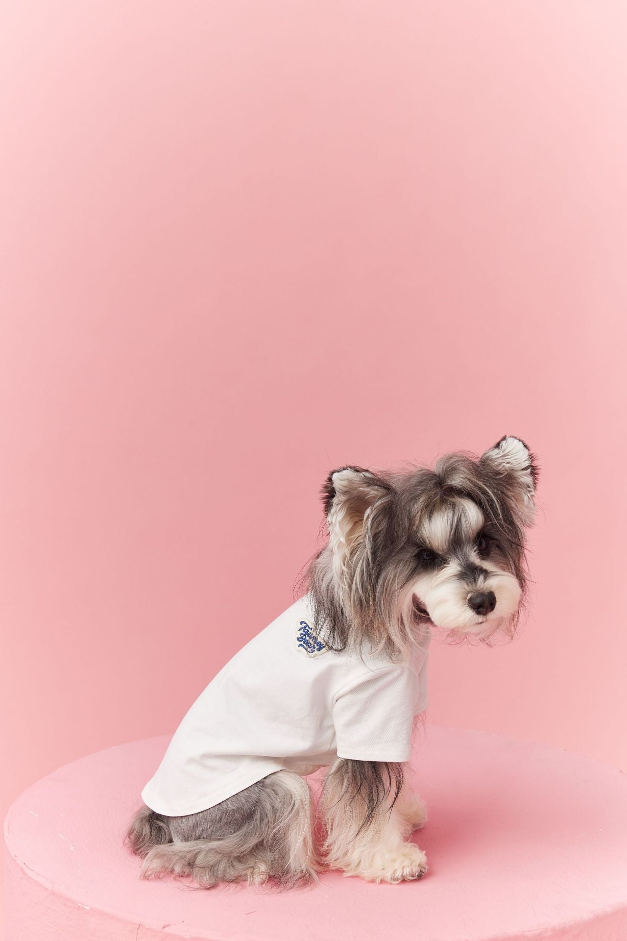 Summer Basic White Tee